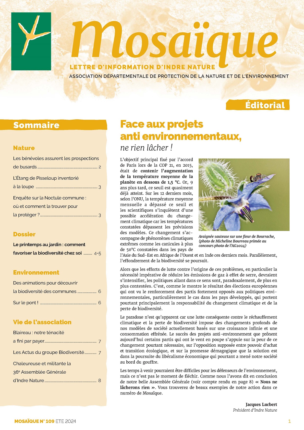 Couverture Mosaïque n°109