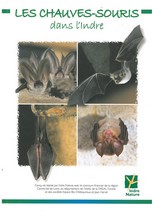 Les chauves-souris dans l'Indre