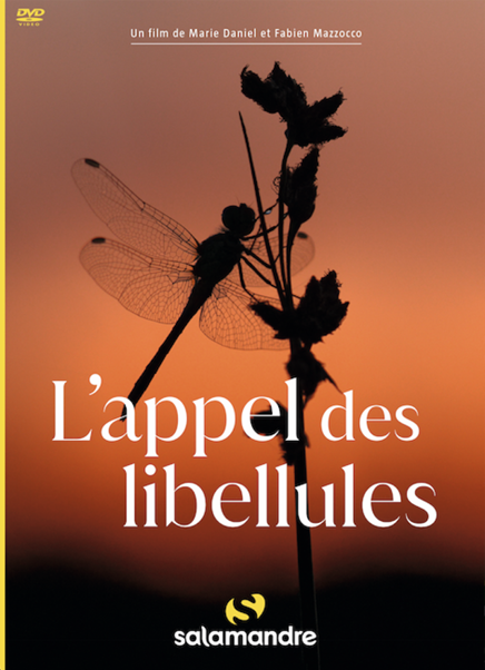 l'appel des libellules
