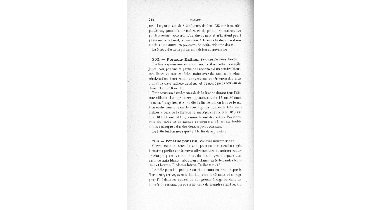 3 espèces (c) Gallica BnF)