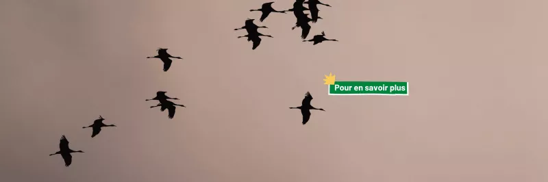 Indre Nature Grippe aviaire