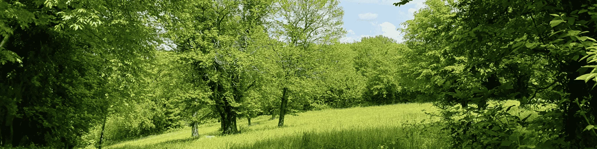 Bocage saint plantaire