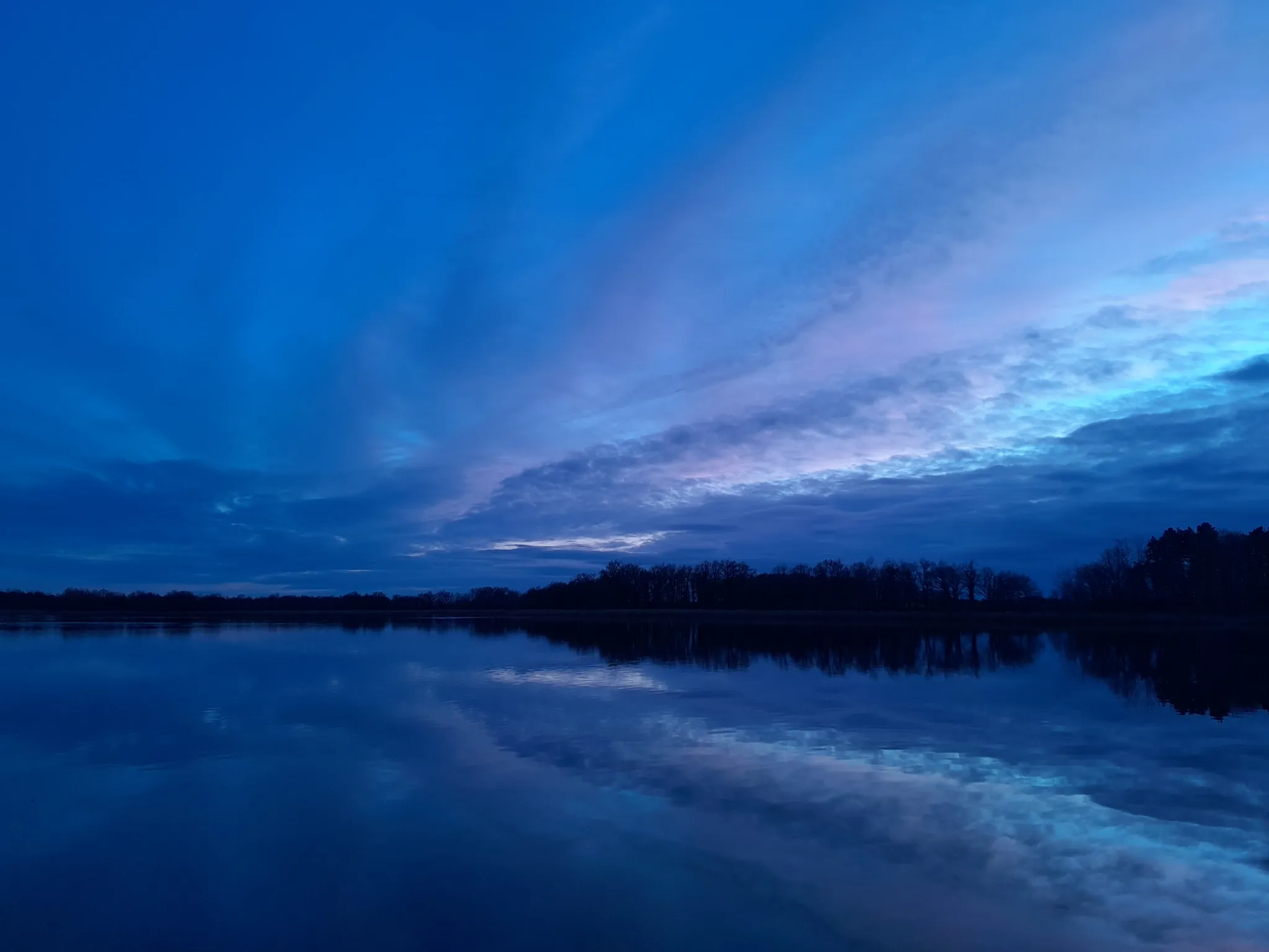 Ambiance hivernale : les eaux froides ont regagnées les étang de Brenne, les marouettes leurs quartiers d'hivernage...