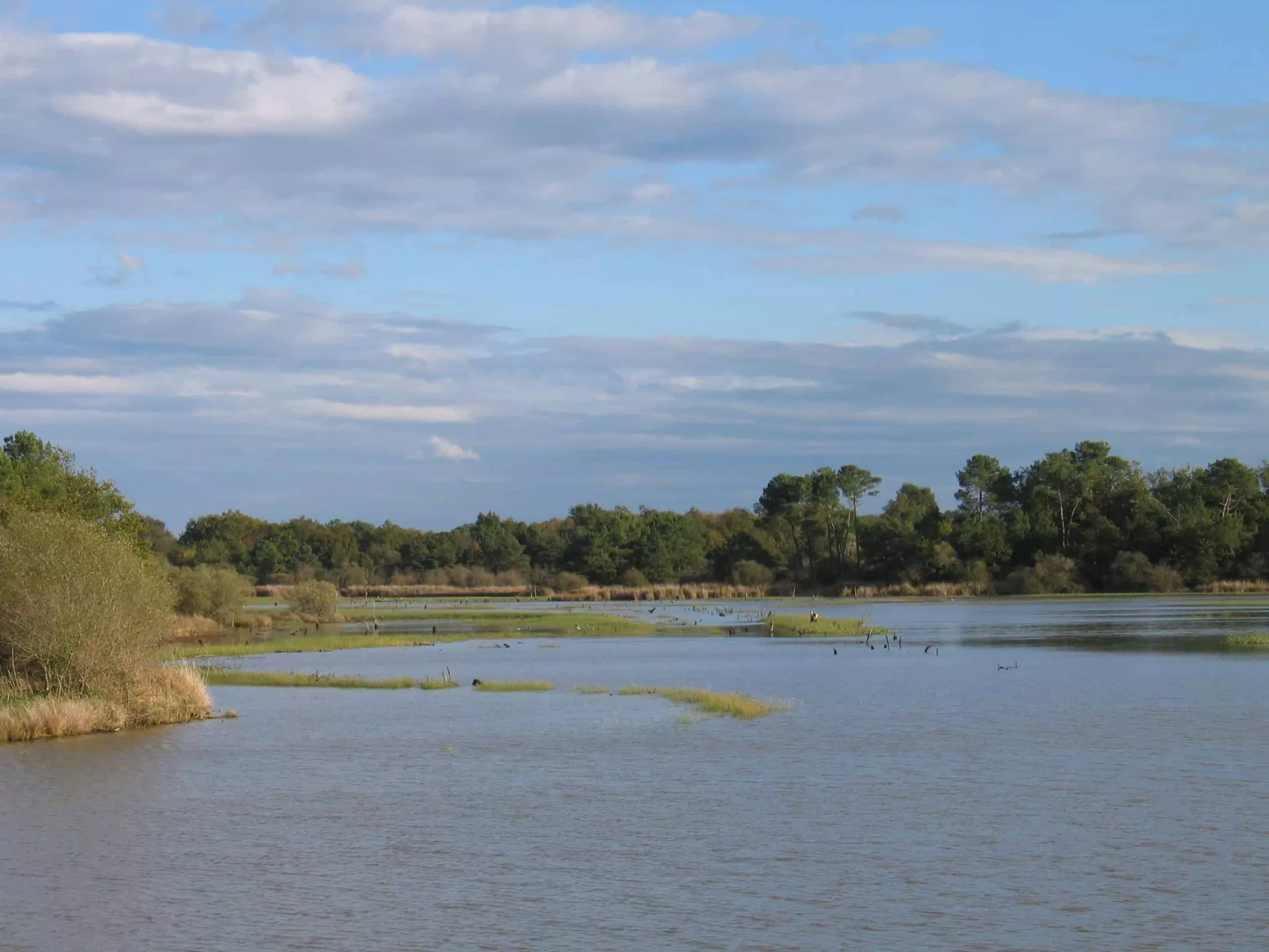 Histoire des paysages de Brenne