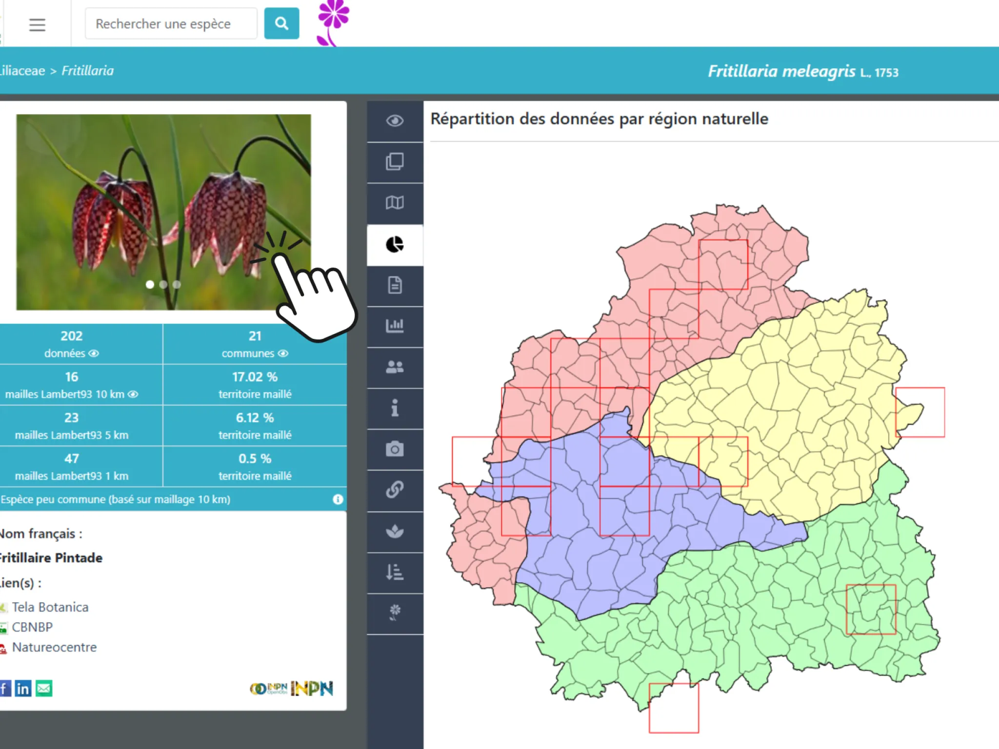 formation obsindre indre nature