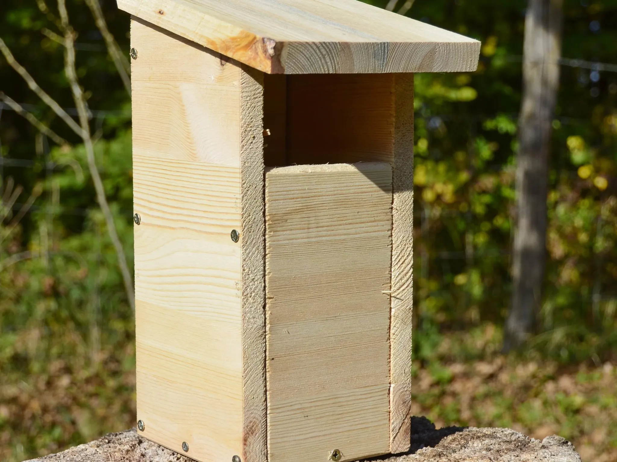 nichoir indre nature atelier brenne