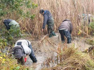 Retour sur le chantier de la mare à Vicq-sur-Nahon