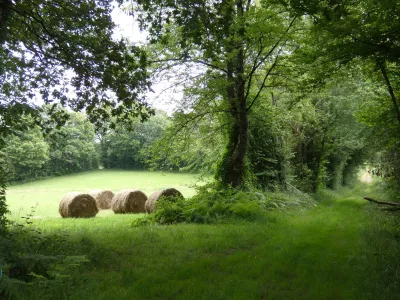 Bocage chemin faisant 
