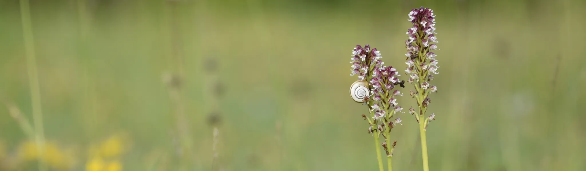 je m'engage indre nature