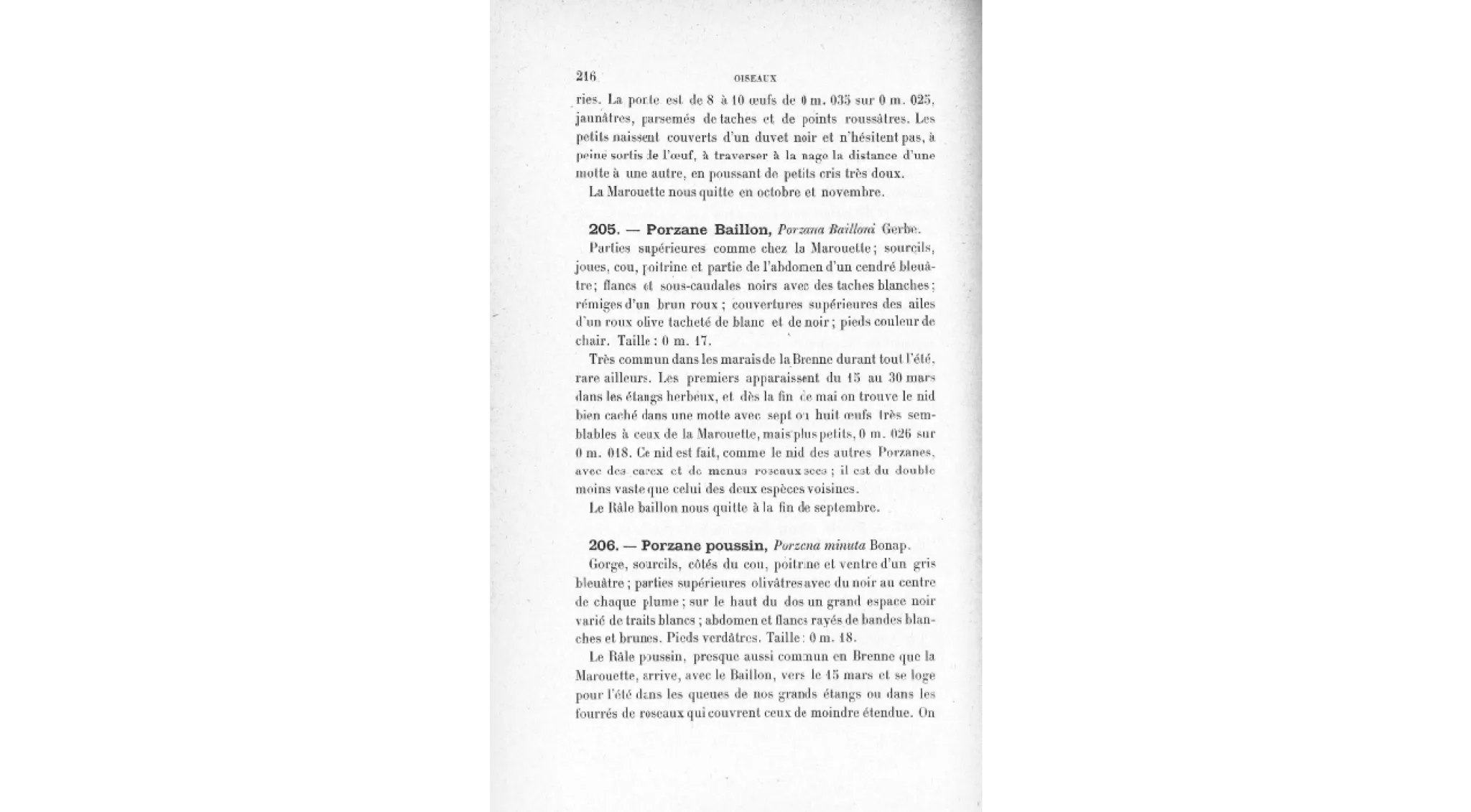 3 espèces (c) Gallica BnF)