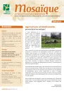 Mosaïque n°114